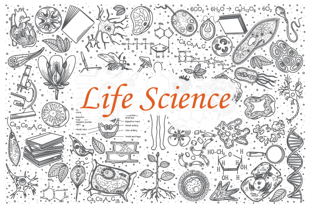 research the life science